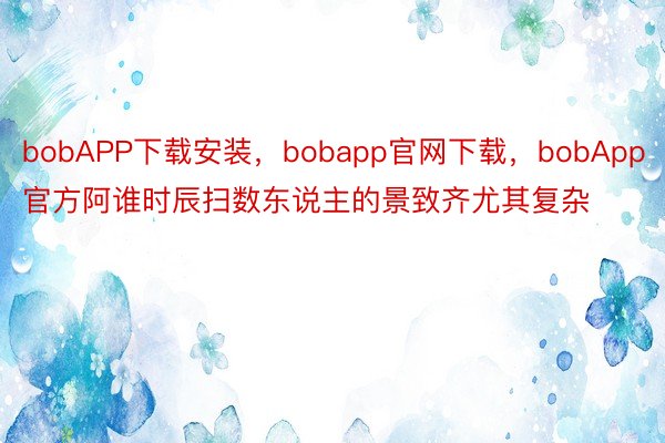 bobAPP下载安装，bobapp官网下载，bobApp官方阿谁时辰扫数东说主的景致齐尤其复杂